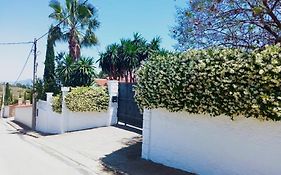 Las Palmeras
